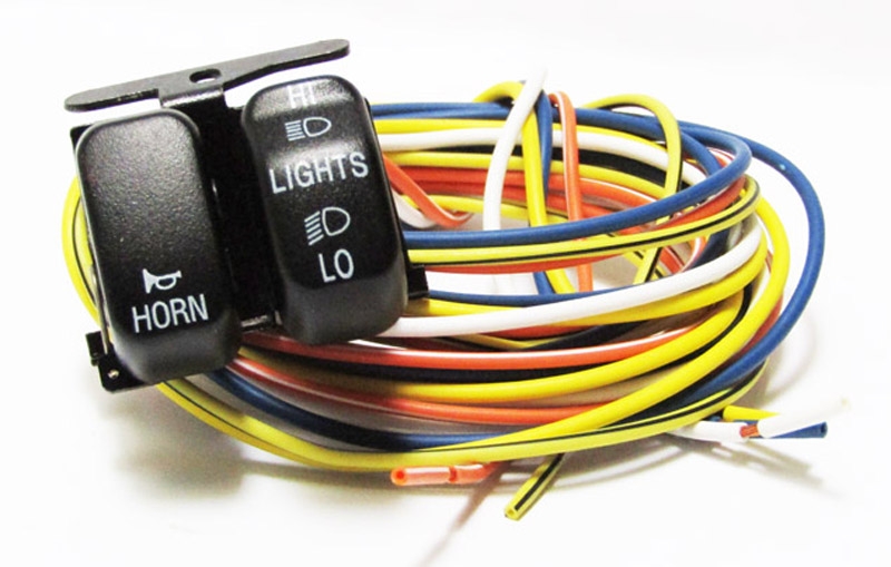 Switch Assembly Dimmer & Horn