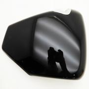Oil Tank Side Cover, 66252-04, fits a Harley Davidson Sportster® '04 - Up
