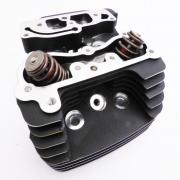 Cylinder Head 103 Rear (0 km done), 17729-08, fits a Harley Davidson Multifit