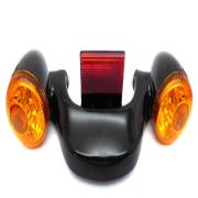 Brake Turn Tail Light, 67800484, fits a Harley Davidson Touring