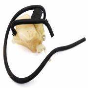 Coolant Bottle, 26900014, fits a Harley Davidson Touring